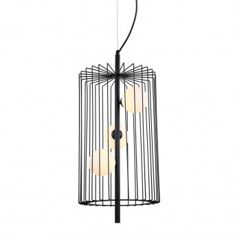 Hayden